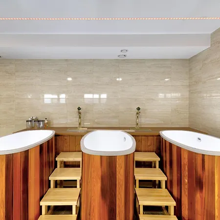 Отель Typton Hotel&spa Medzilaborce